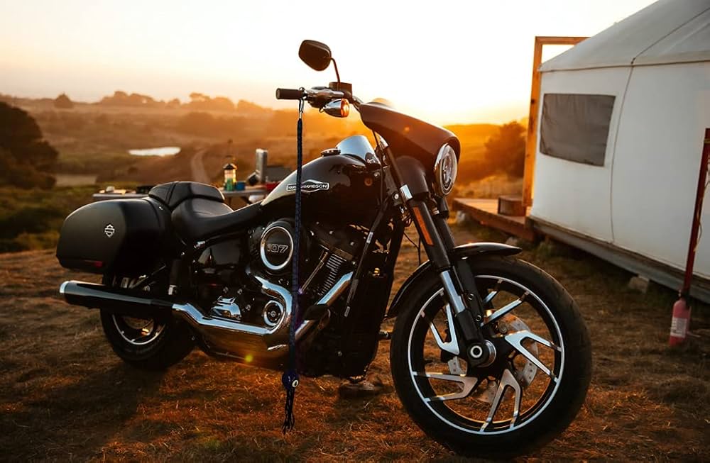 Leather Motorcycle Whips 36