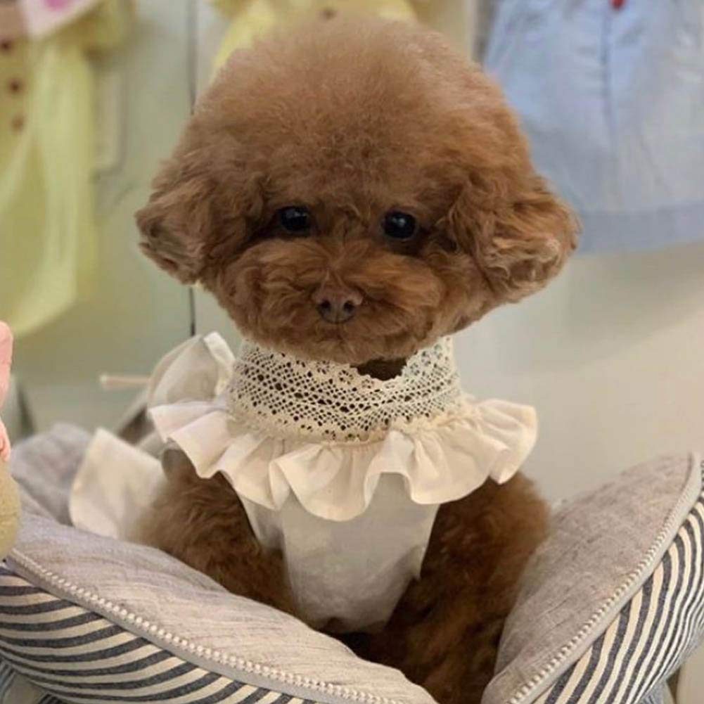 犬ワンピース コットン 犬服 小型犬服 レース 犬 ワンピース　計5点 犬ワンピース コットン 犬服 犬 服 小型犬 サンフラワー レース