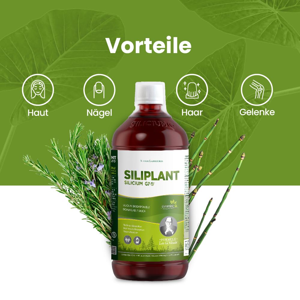 G7 Siliplant Verbesserte Formel. Silizium Flüssig auf Pflanzenbasis. Silizium Hochdosiert ideale für Knochen, Gelenke Vitamine, Haarvitamine und Nägeln. Erhöht die Elastizität der Haut. 33 Tage Kur.