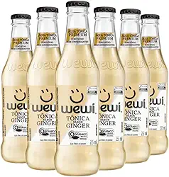 Água Tônica Ginger 255ml pacote com 6 unidades