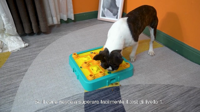 Giocattolo Puzzle Per Cani LACCEN - 3 Livelli Di Difficoltà, Interattivo E Dispenser Crocchette - Foto 7