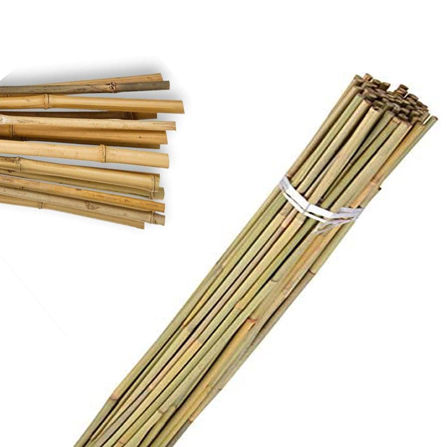 WILSONS DIRECT - Large Thick Natural Bamboo Canes – Heavy Duty Garden Plant Support Sticks for Flowers, Vegetables & Trellis – Durable & Strong Pole – Multiple Lengths 2ft to 6ft (30, 3FT (90cm))