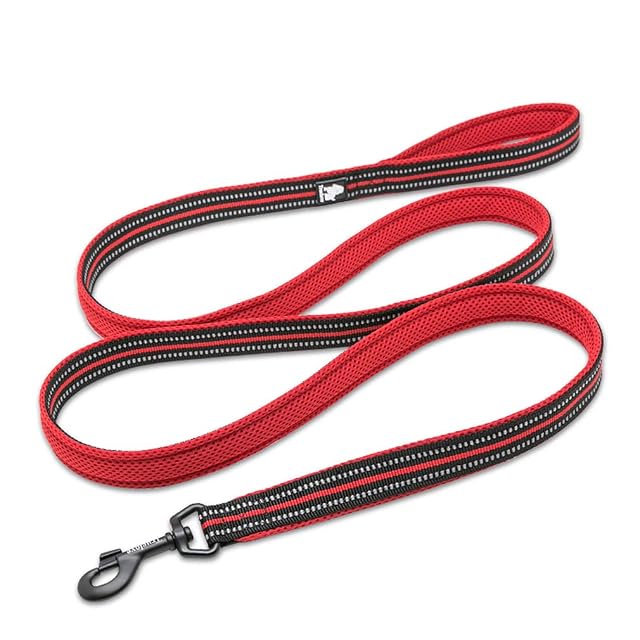 Foto 2 de 7 de WINHYEPET True Love Correa para Perro Nylon Reflectante Mango cómodo Plomo Entrenamiento para Cachorros…