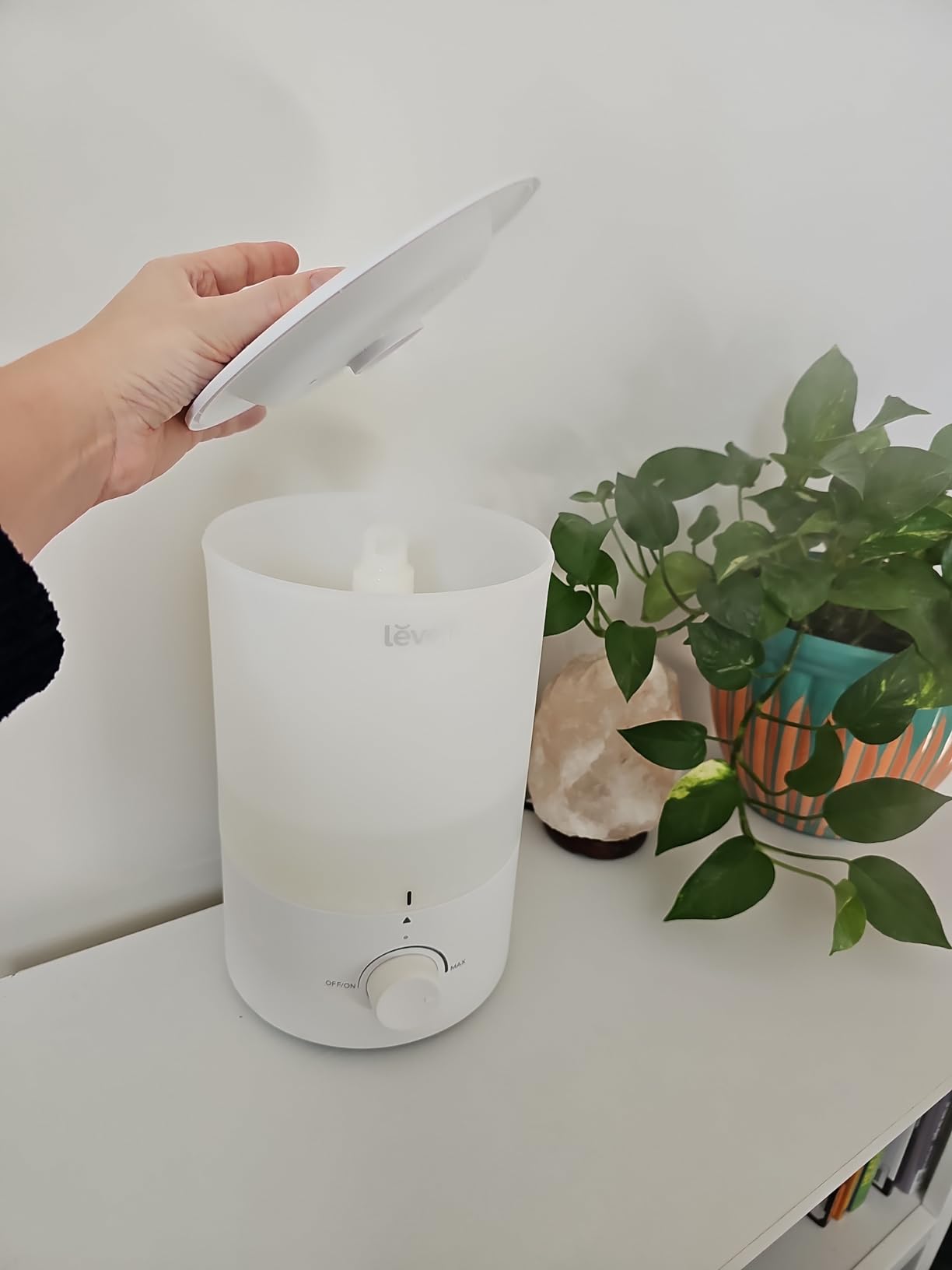 Levoit humidifier placed on shelf next to plants
