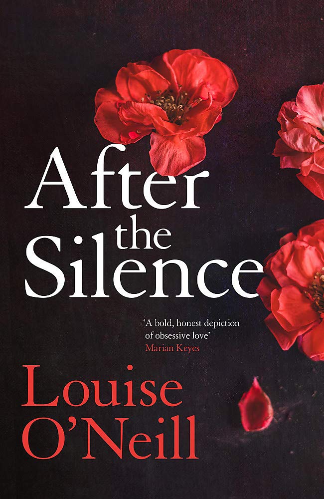 Buy After the Silence: The An Post Irish Crime Novel of the Year — BookShops.in