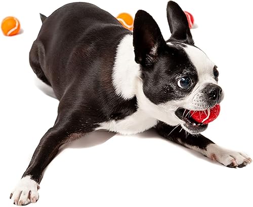 Miniatura 4 de Midlee Juego de 25 pelotas de tenis para perros de 1.5 pulgadas, varios