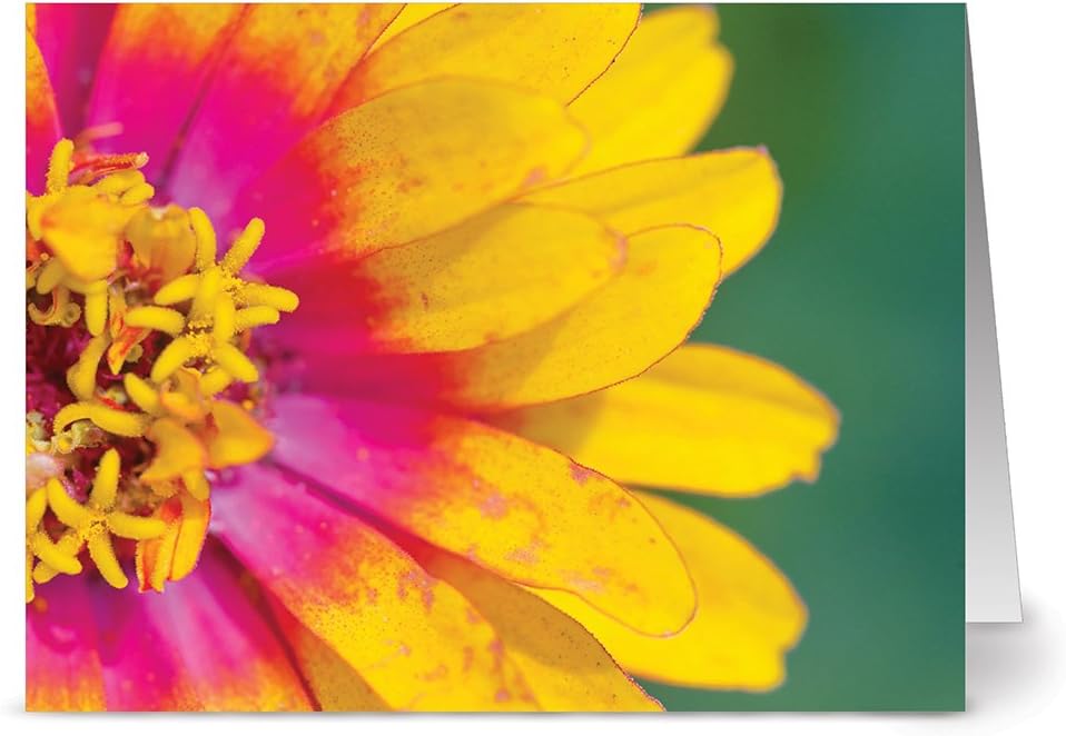 Note Card Café All Occasion Greeting Cards 24 Pack