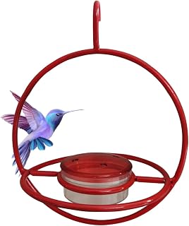 Metal Hummingbird Feeder for Outsides | Hangings Metal Bird Feeder,Hangings Humming Bird Feeder, Metal Bird Feeders for Outside Hangings, Patio, Yard, Garden, Tree, Window Welts