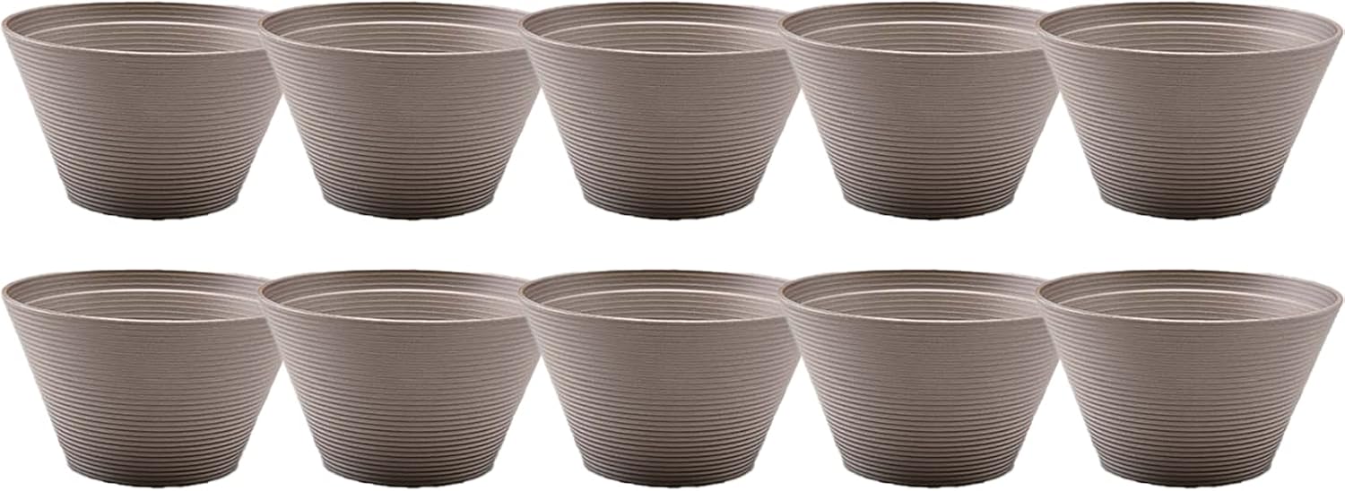 Miso Soup Bowl, Heat Resistant, Made in Japan, Dishwasher Safe, Senshu Queen Cup, Fully Erased, Large