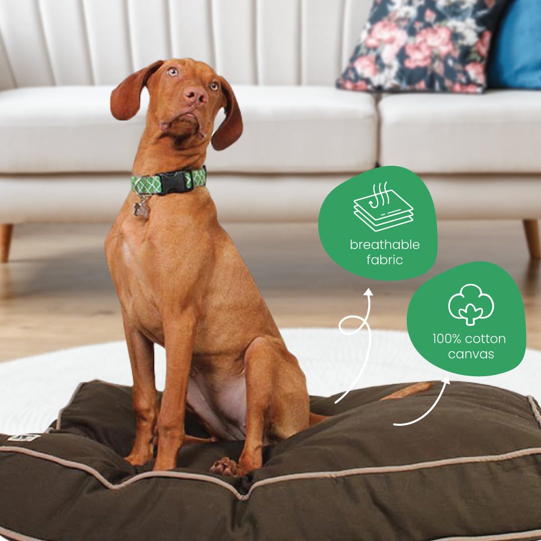 Molly Mutt Medium to Large Dog Bed Cover - Landslide Print - Measures 27x36x5 - 100% Cotton - Durable - Breathable - Sustainable - Machine Washable Dog Bed Cover - Image 4