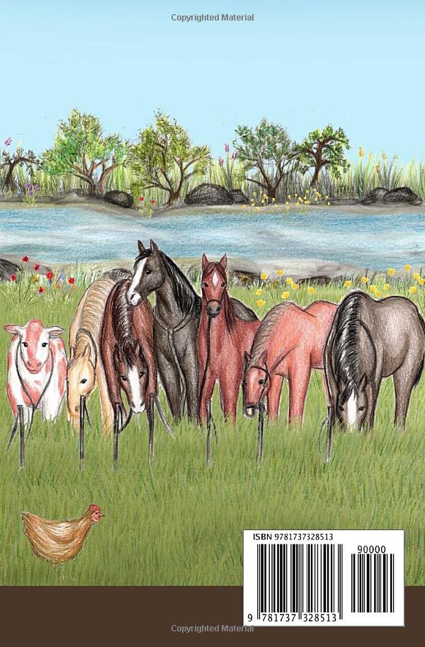 The Ross Family Adventures: Hope Beyond the River - Image 2