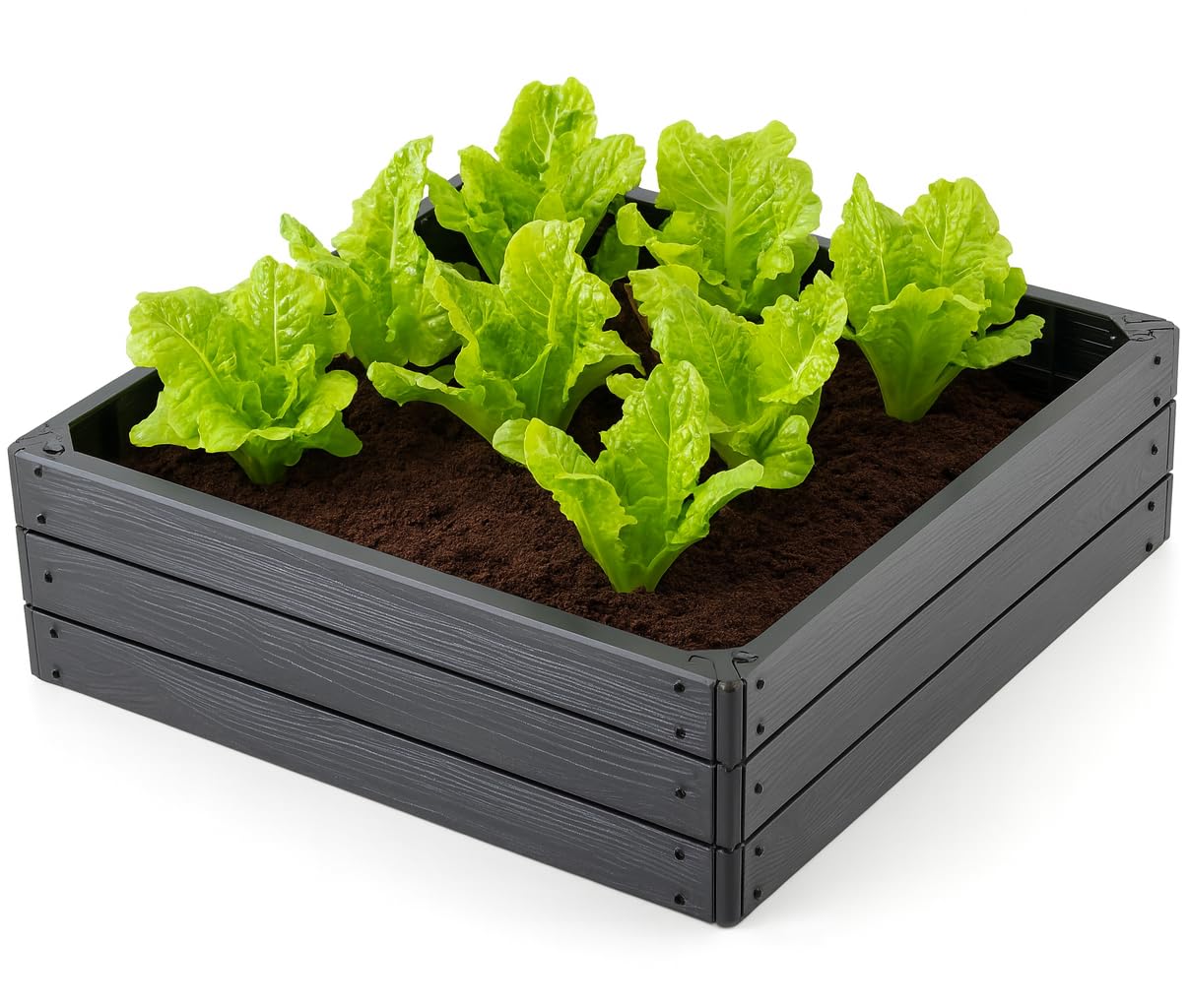 Orto Rialzato per Verdure ed Erbe Aromatiche 75x75cm