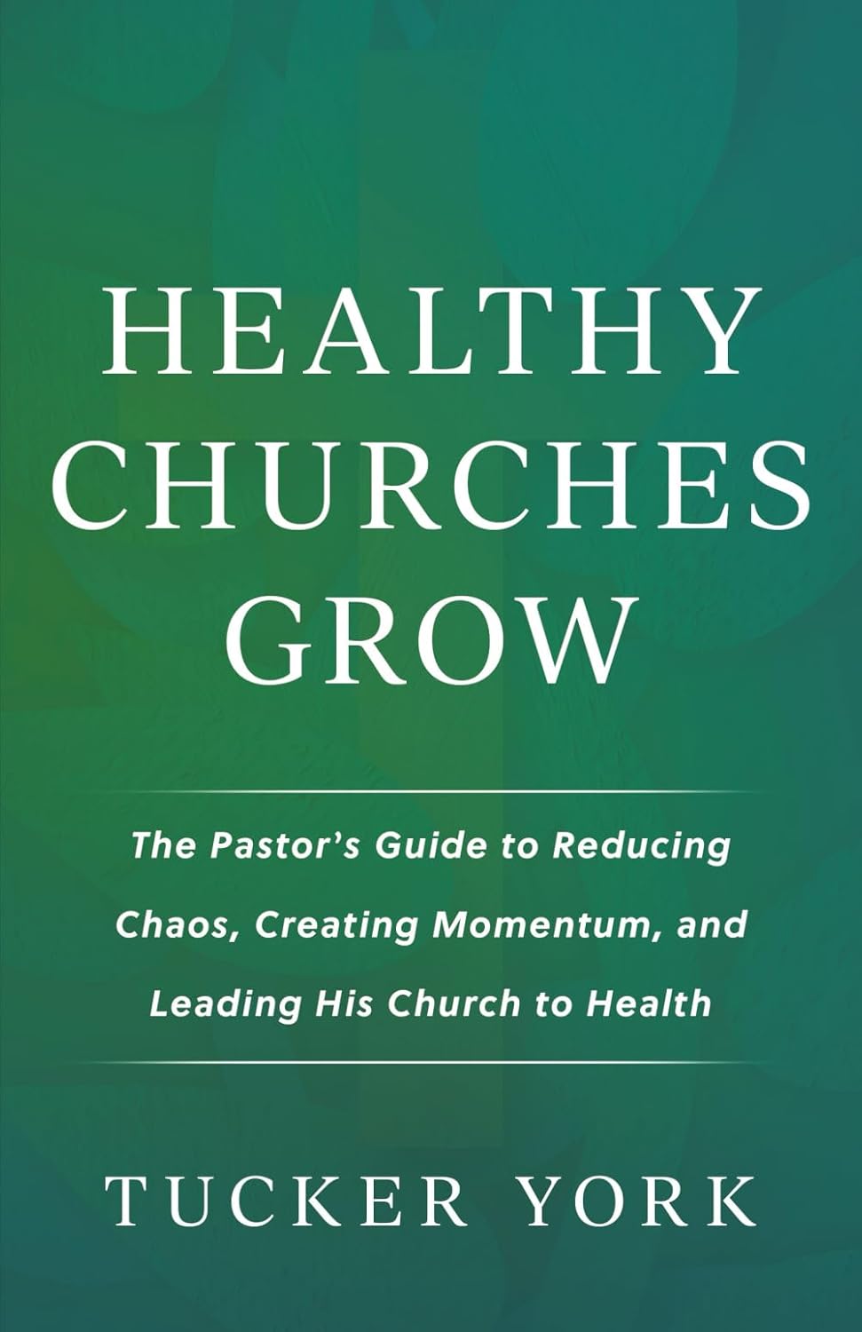 Healthy Churches Grow: The Pastor's Guide to Reducing Chaos, Creating Momentum, and Leading His Church to Health