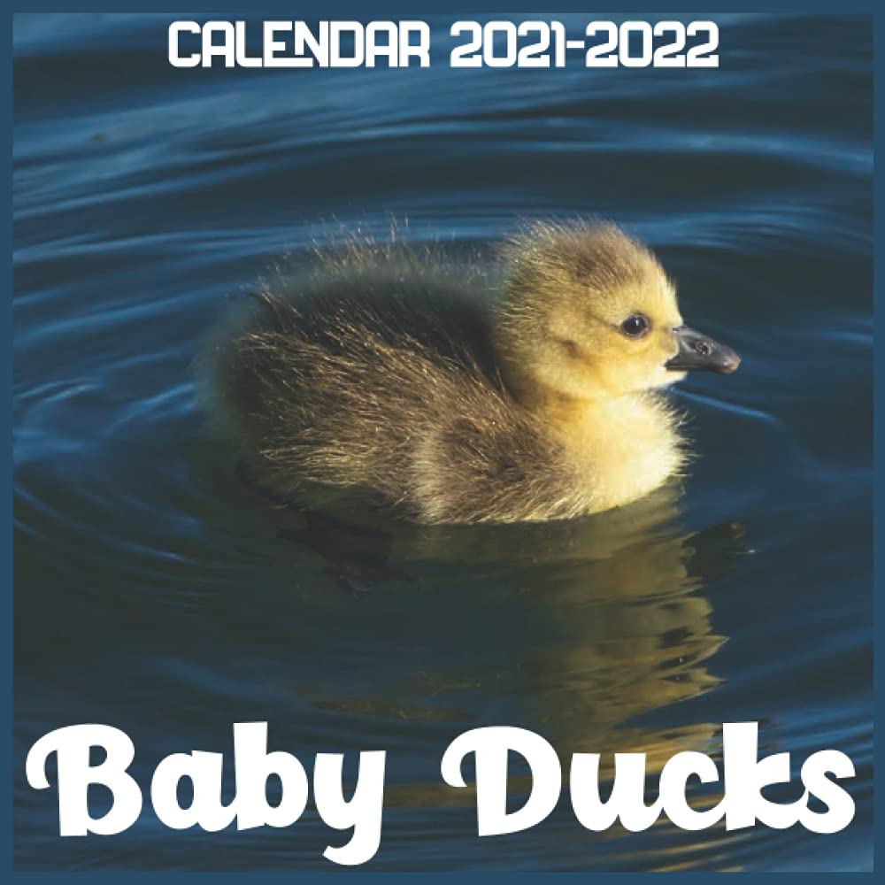 Buy Baby Ducks 20212022 April 2021 Through December 2022 Square Photo