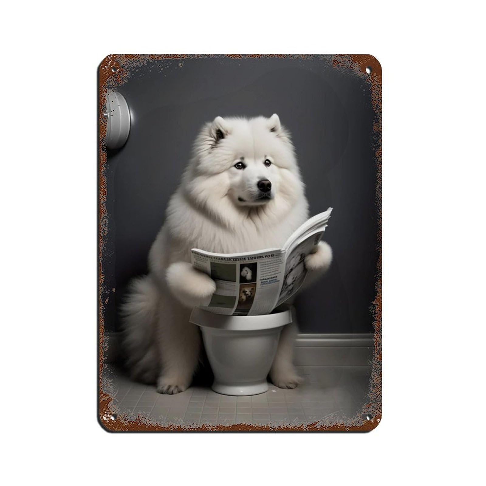 Samoyed Sitting on The Toilet Reading A Newspaper Tin Sign Vintage Metal Pub Club Cafe Bar Home Wall Art Decoration Poster Retro 12x16inch(30x40cm)
