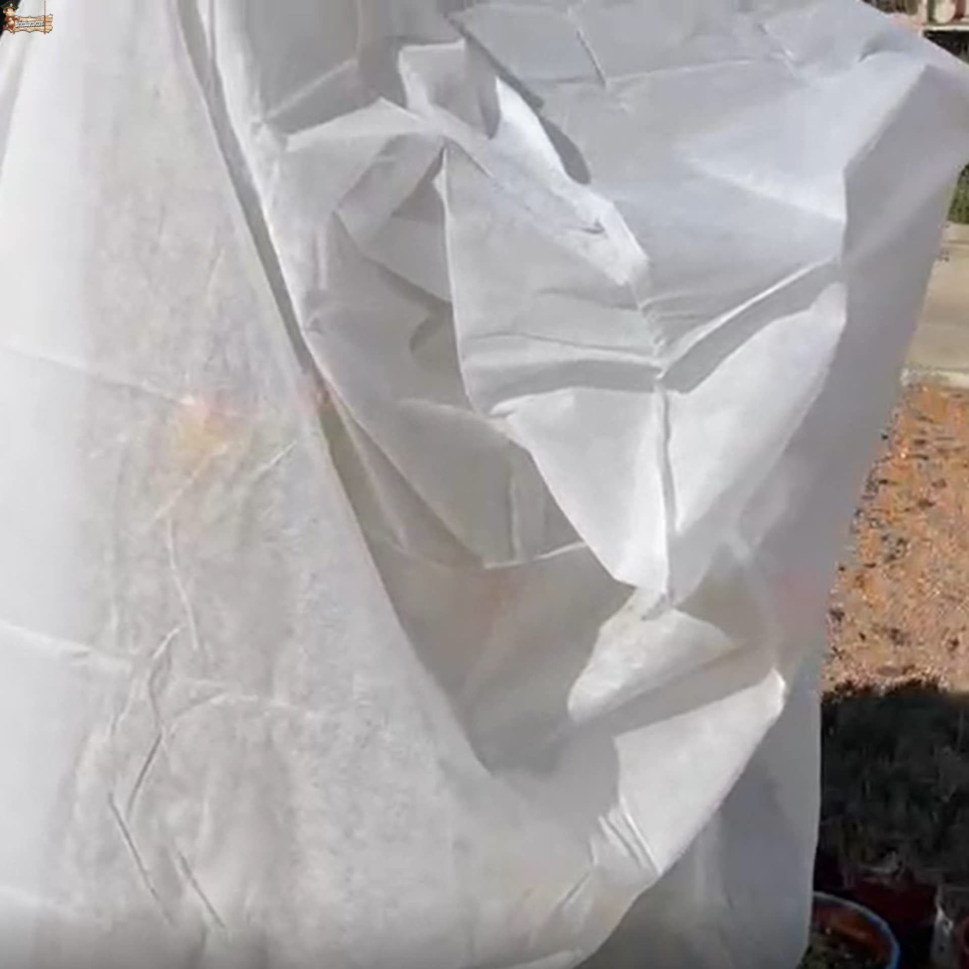 BricoLoco.com Confezione di copertura protettiva gelate piante tessuto protezione invernale coperta in rete geotessile Tessuto antigelo Velo ibernazione 1,80 MTS. x 1,25 MTS. (6)