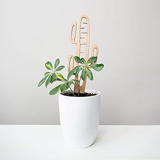 10 Garden Wall Trellis Ideas for Vertical Flowers and Vines 105 Treleaf Bare™ Cactrella™ – Customizable Wooden Barrel Cactus Leaf Plant ...