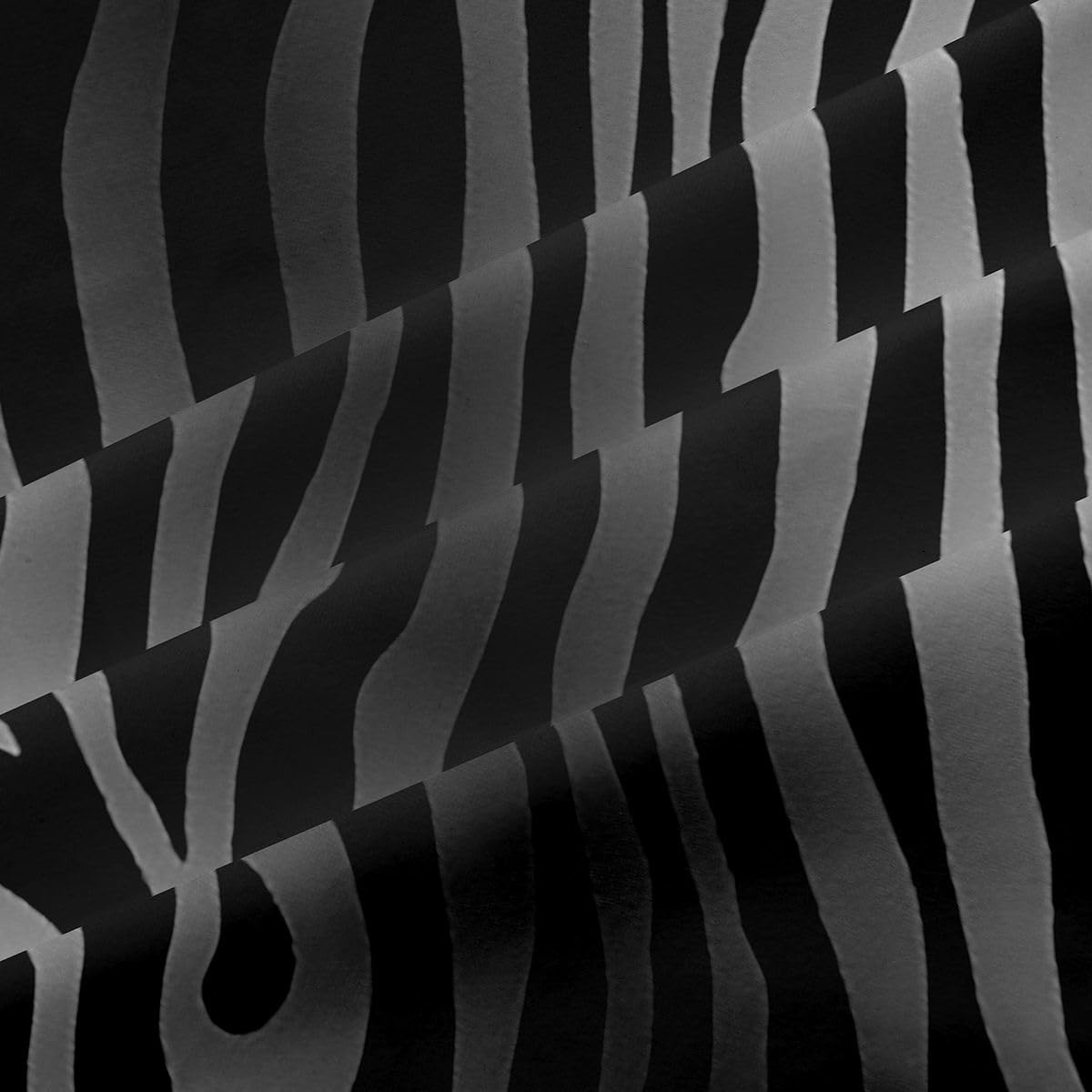 Loussiesd Black Zebra - Trattamenti per finestre, 2 pannelli, 166 x 182 cm