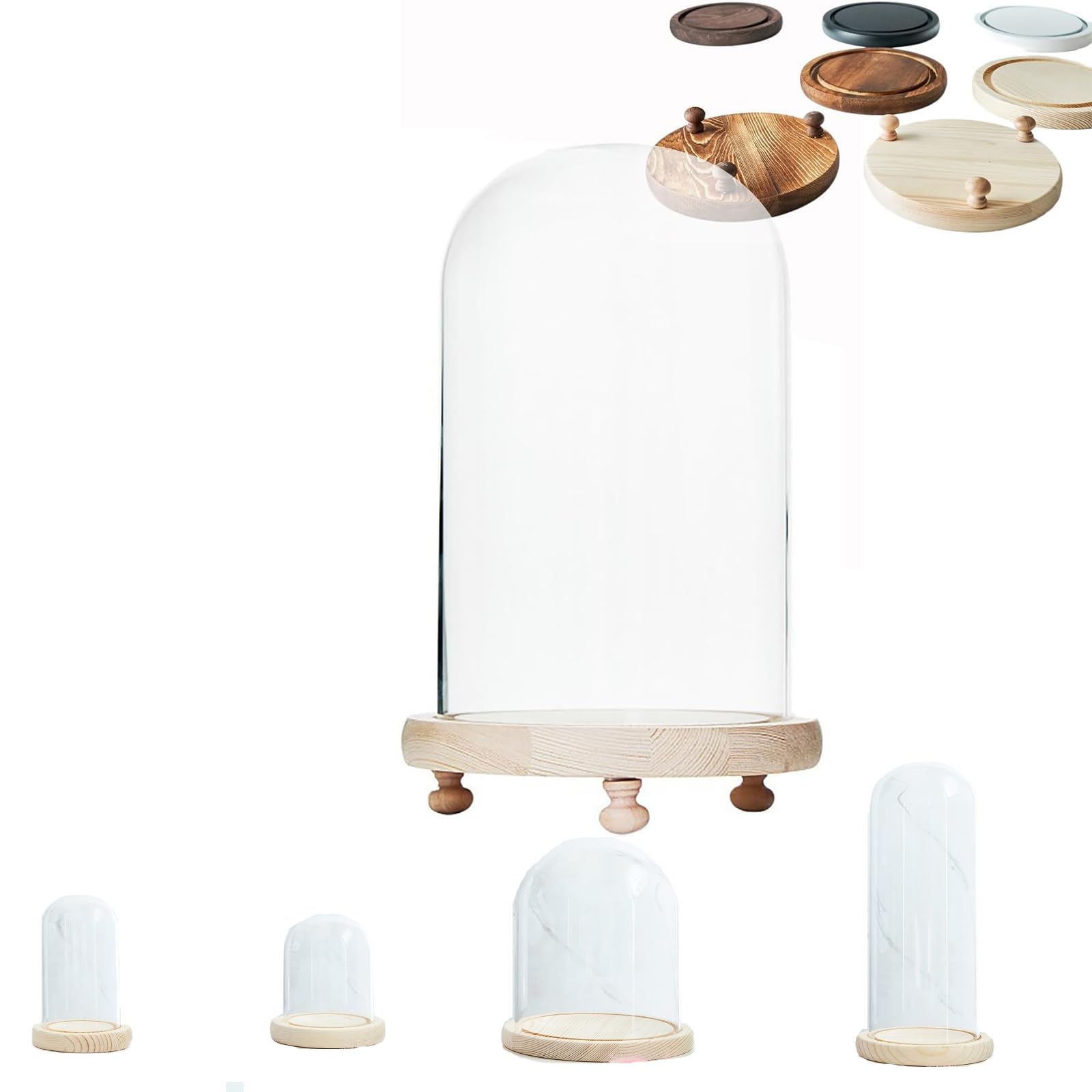 Amazon｜ガラスドーム 透明 保管・ディスプレイ用 プリザーブド