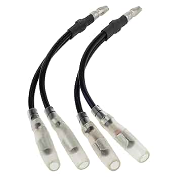 ゲストロテナガコガネ メス　オス　2匹セット ゲストロテナガコガネ メス オス 2匹セット ゲストロ