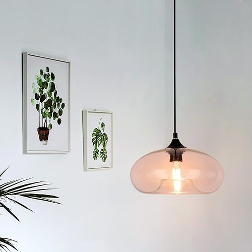 Miniatura 3 de JCPYIUL Lámpara colgante de globo de vidrio industrial, níquel cepillado, lámpara colgante de vidrio transparente, pantalla de granja, iluminación