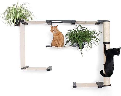CatastrophiCreations Mini Garden - Hamaca para gatos de varios niveles y centro de actividades de escalada - Estantes para árbol de gatos montados