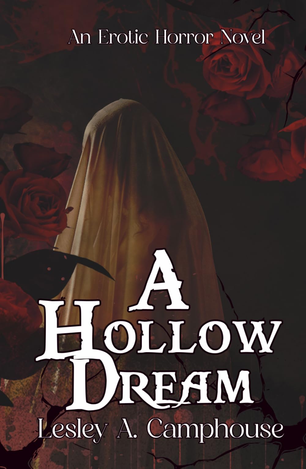 A Hollow Dream: An Erotic Horror Novel (The Nightmare duet)