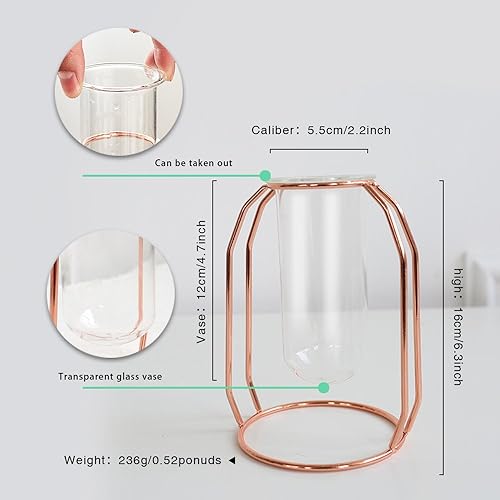 Miniatura 6 de PuTwo Juego de 2 jarrones de metal para flores, jarrón de vidrio, terrarios, jarrones dorados, jarrones de oro rosa, jarrones de vidrio, jarrones