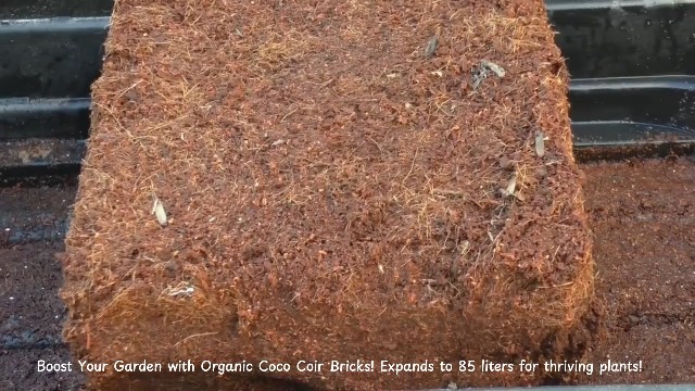 Amazon.com : Hortiway 11lbs Premium Coco Coir Brick -100% Organic