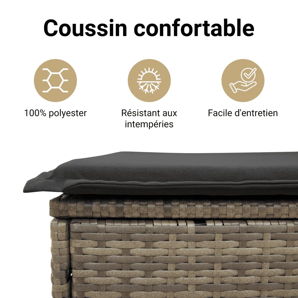 vidaXL Canapé de Jardin 2 Places avec Coussins, Résine Tressée Gris