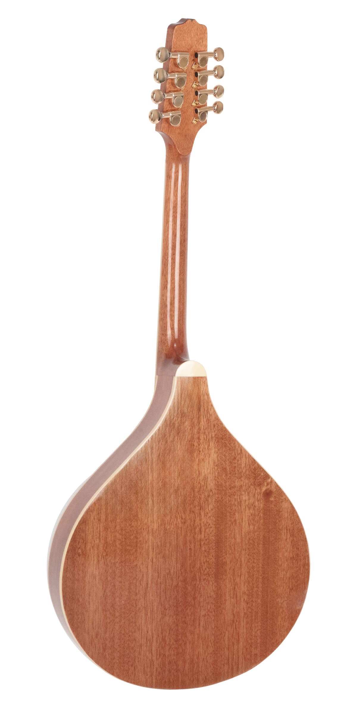 Gold Tone OM-800+ Octave Mandolin (Mahogany) - Image 5