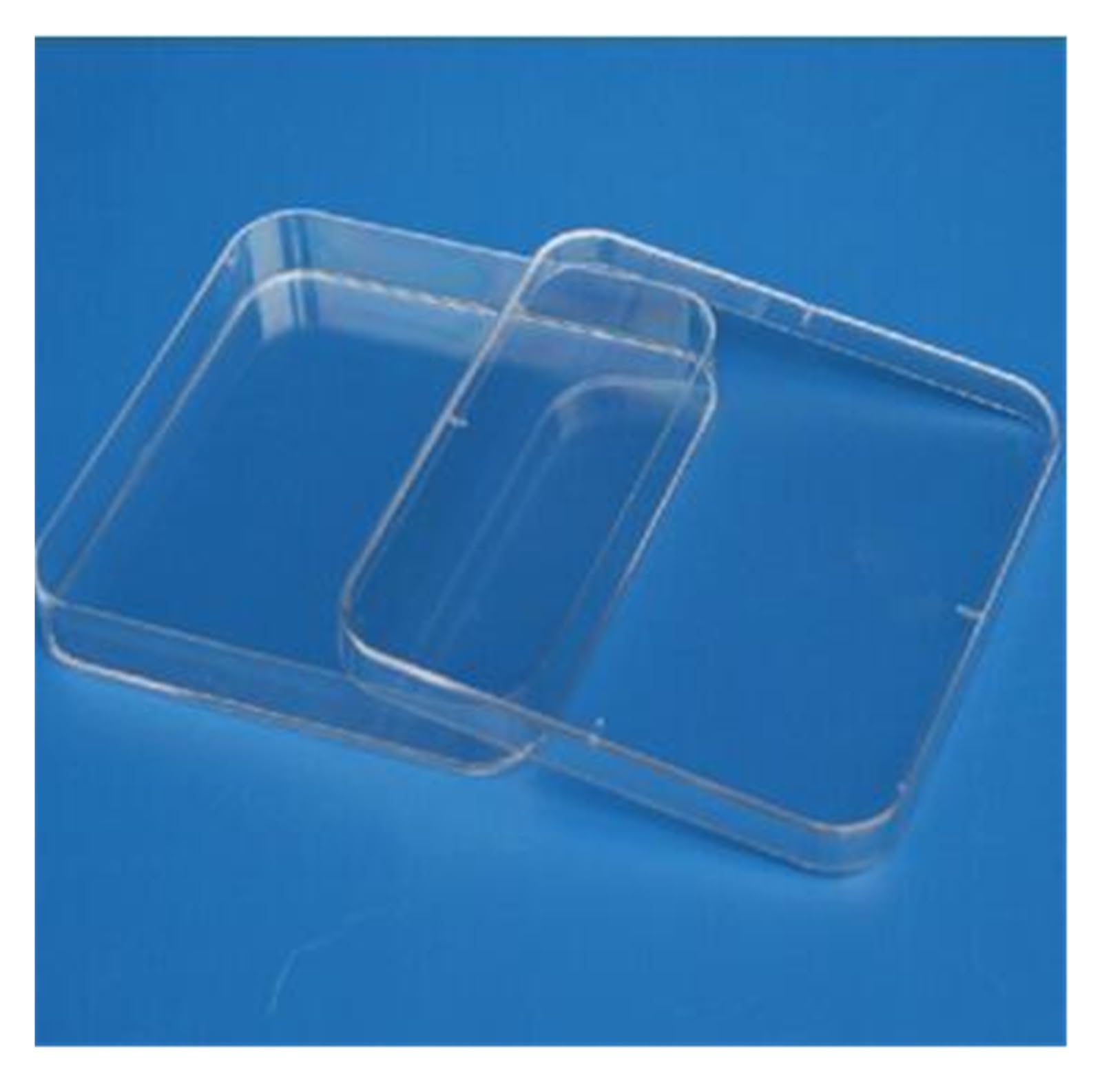 YYJzsw Laboratoryjne analizy plastikowe polistyrenowe szalki Petriego 13 * 13 cm, sterylne, 10 szt./opakowanie