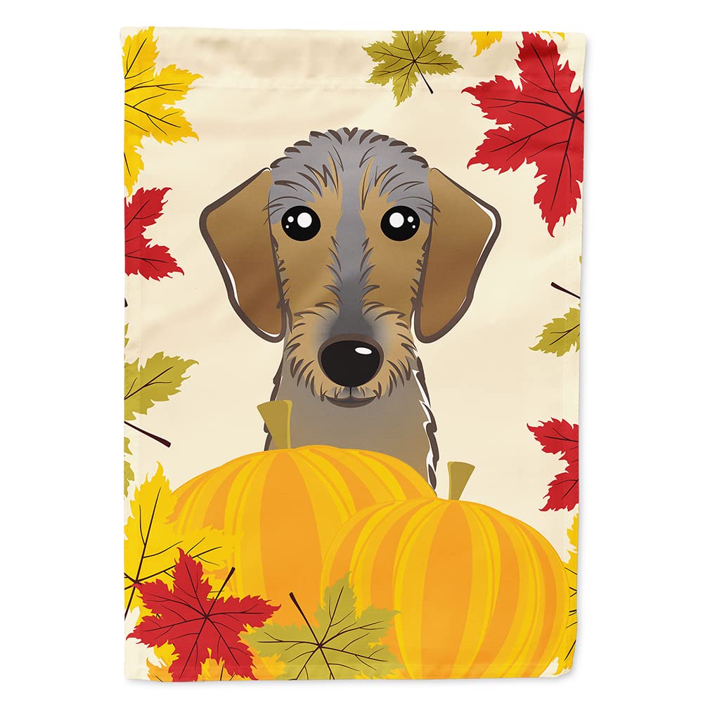 Drapeau Teckel à poil dur pour célébrer Thanksgiving en famille avec votre chien
