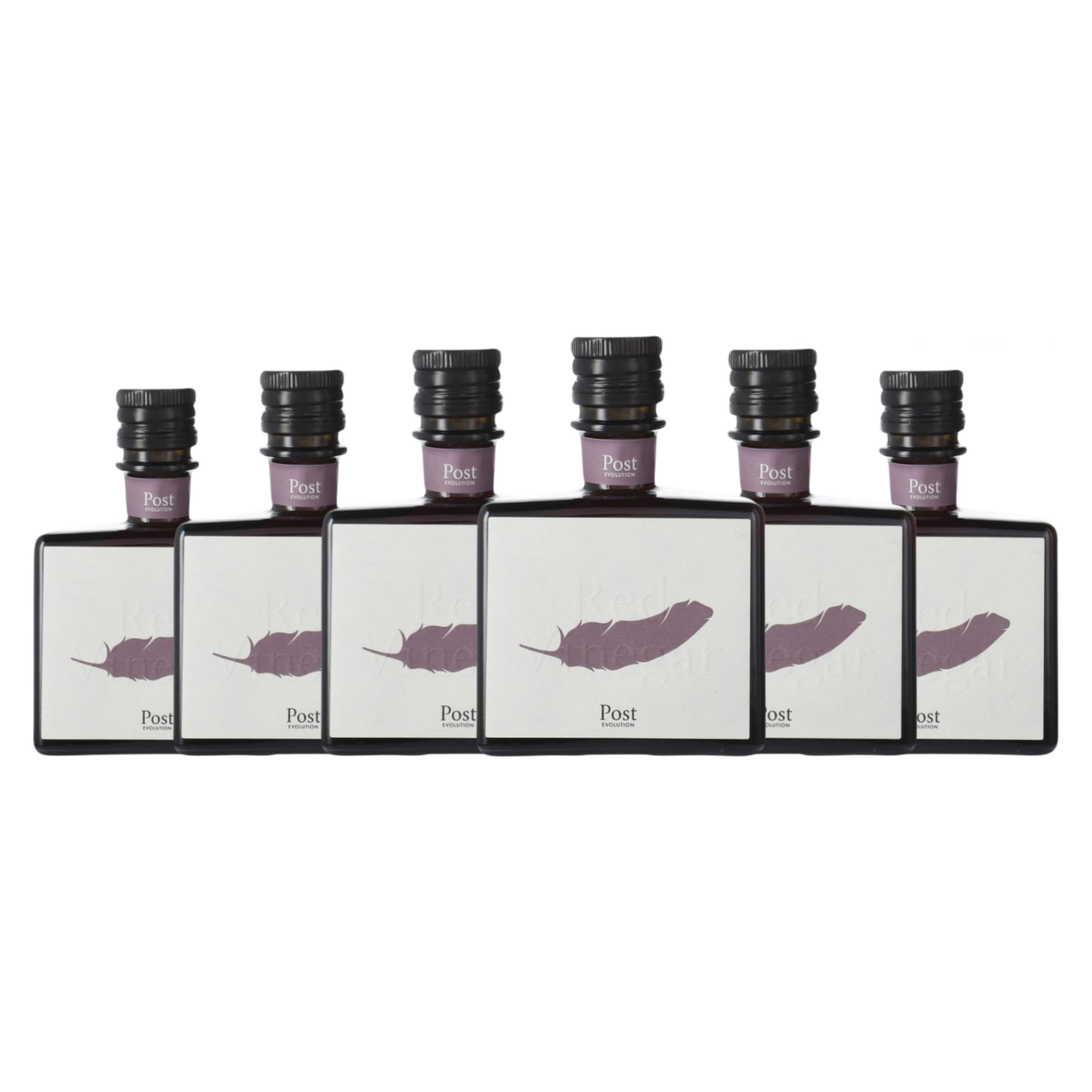 Vinagre Sicus Post Evolution Negre Botellín 25 cl (Caja de 6 Botellín de 25 cl)