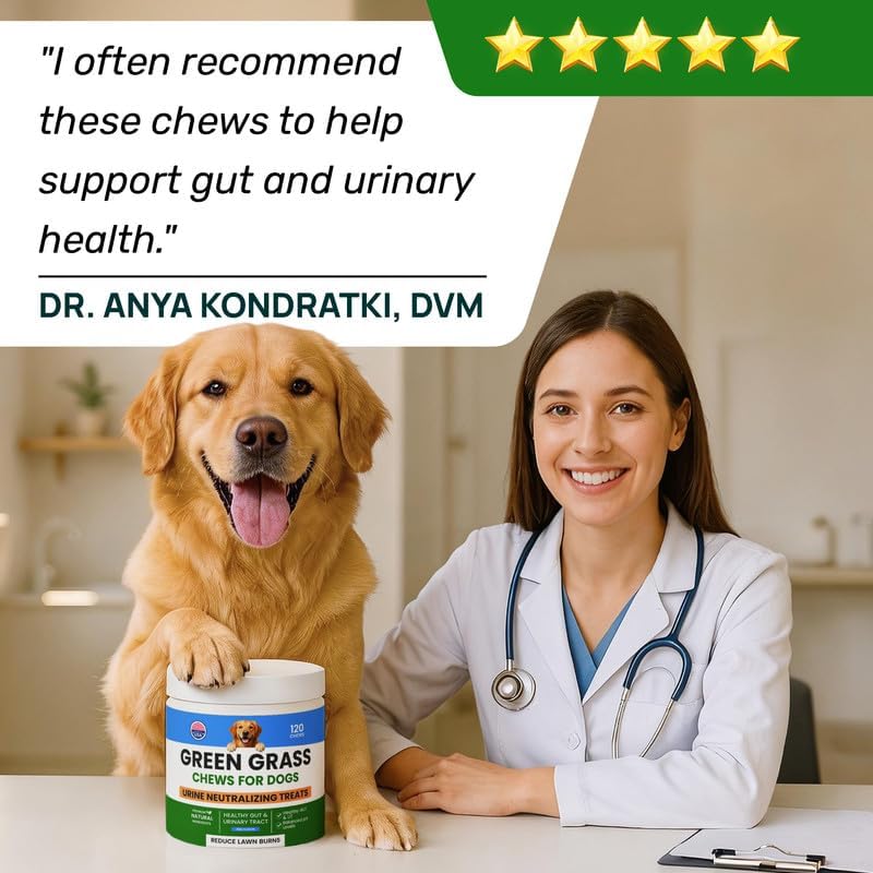 PAWFECTCHEW Green Grass Dog Chews with Probiotics – Lawn Burn Support – Dog Urine Neutralizer for Grass – Pee Spot Control – Gut & Urinary Health – 240Ct