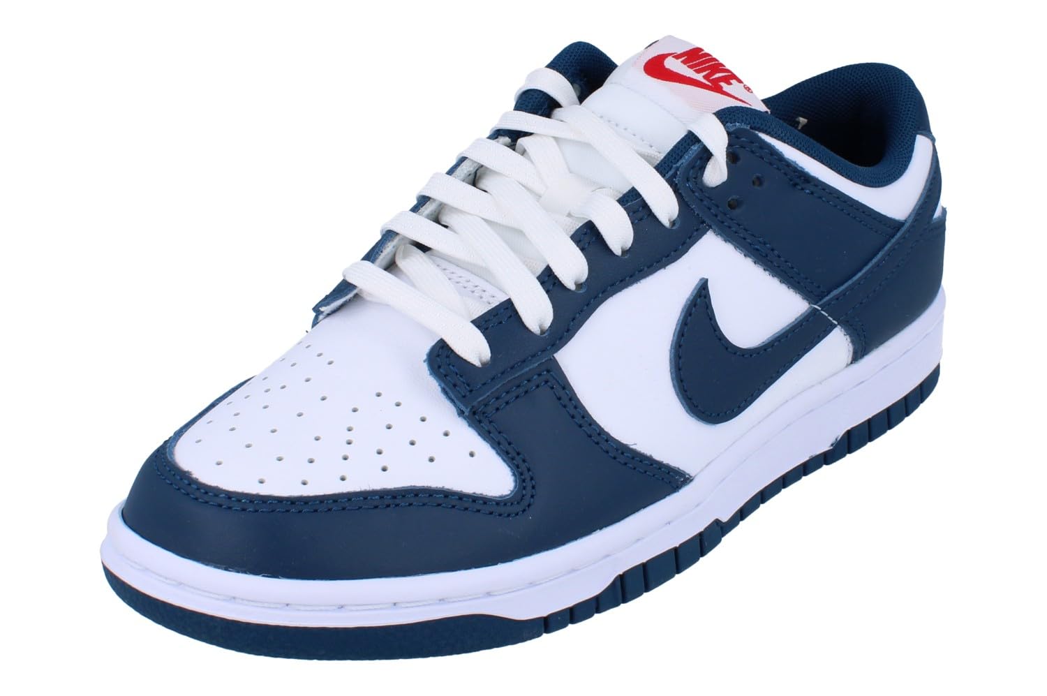Nike Women's Dunk Low Retro Basketball Shoes