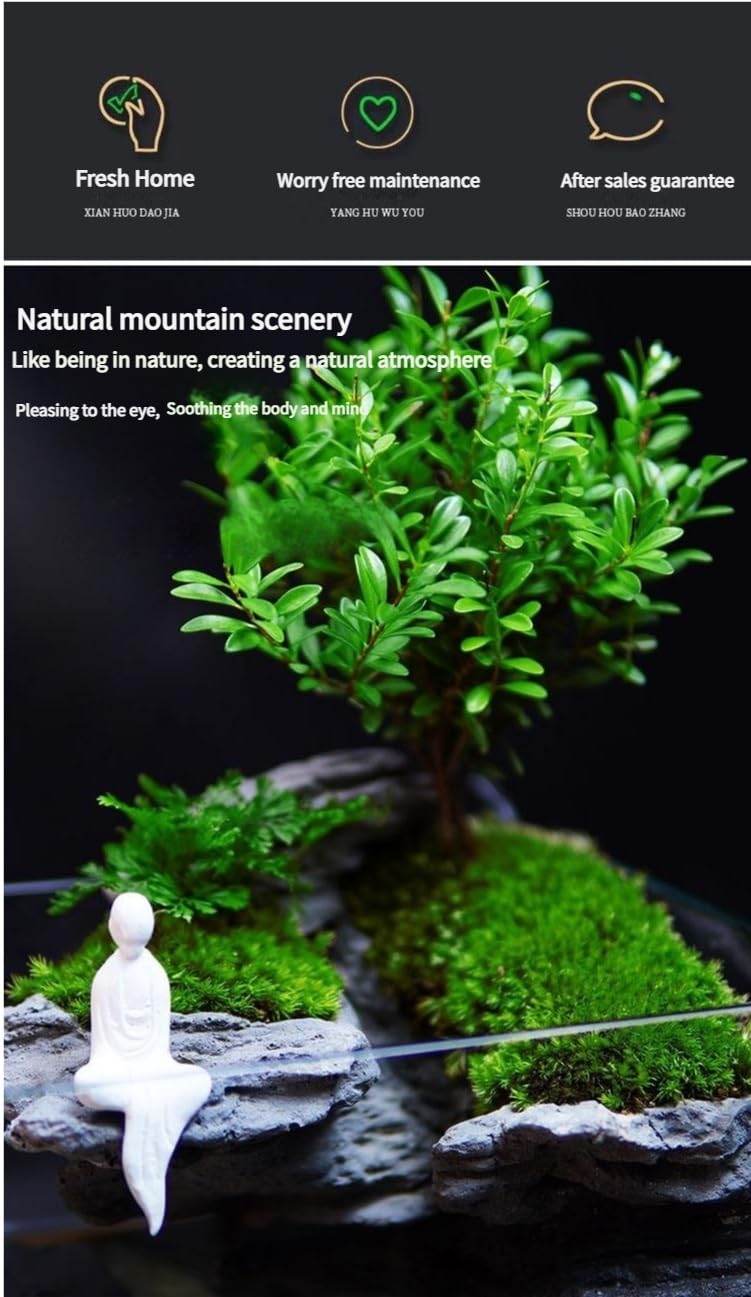 Tanque de peces de acuario con función de cascada, fuente de escritorio de tanque de vidrio con plantas vivas y decoración de paisaje zen (C)