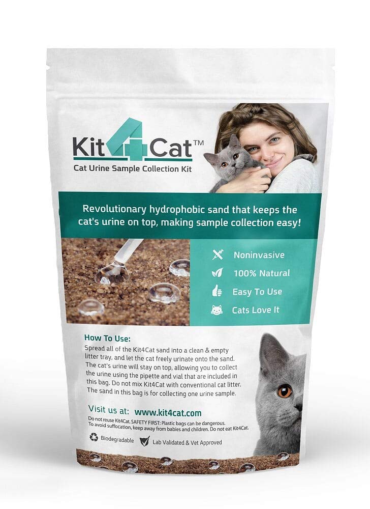 Cat Get Urine Sample at Katherine Santistevan blog
