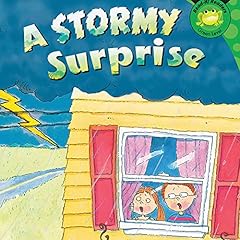 Couverture de A Stormy Surprise