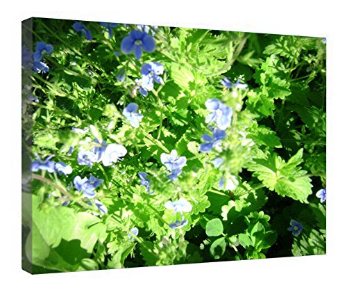 Toile fleurs bleues encadrée bois idéale pour décorer un salon cocooning