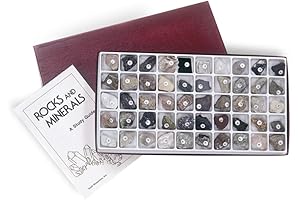 American Educational Classroom Collection of Rocks and Minerals