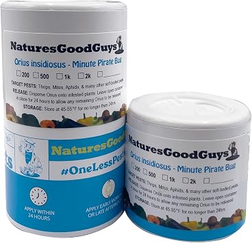NaturesGoodGuys 500 Orius Insidiosis - Minute Pirate Bugs for Thrips, Aphids, Whiteflies, Mites, Moth Eggs in All Ages, Adults, Children, Farmers, Gardeners, Greenhouse Owners