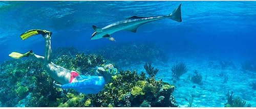 Miniatura 3 de U.S. Divers Junior máscara de regal y esnórquel