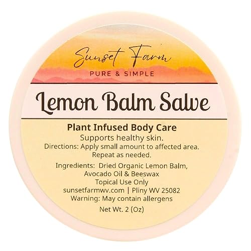 Lemon Balm Salve Herbal Balm Skin Body Care Ointment 2 oz