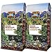 Java Planet - Good Morning USDA Organic Coffee Beans, Medium Roast, Arabica Gourmet Coffee Grade A, packaged in two 1 LB bags