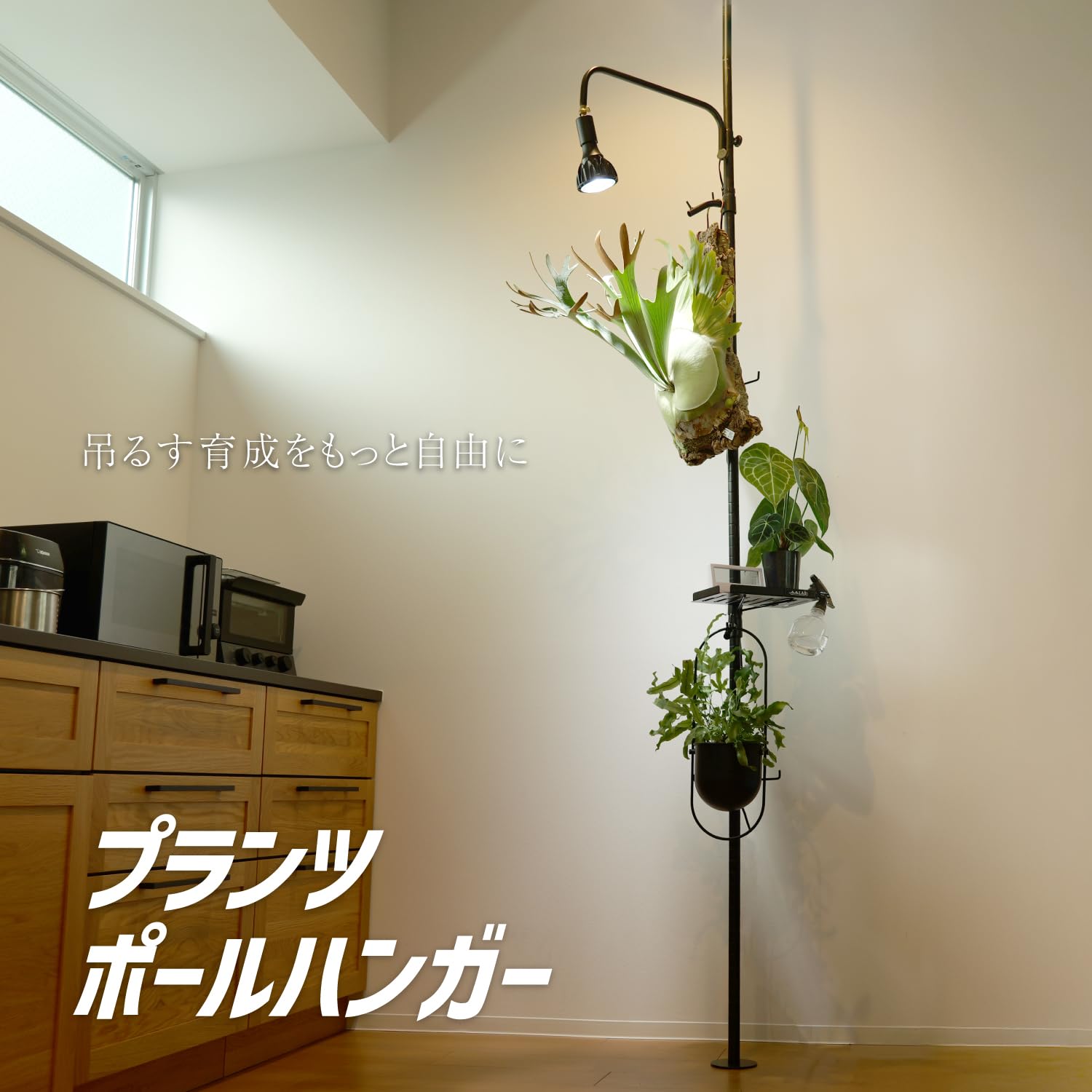 Amazon.co.jp: BIBILAB(ビビラボ) ビザールプランツポールハンガー 首