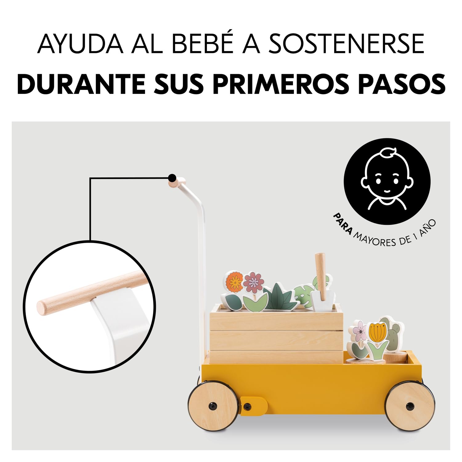 hauck Carrito Andador Bebé Learn to Walk Plants | Correpasillos Apto desde 1 Año con Freno - Juguete de Madera Certificada FSC® con Accesorios - Juego Educativo y Creativo