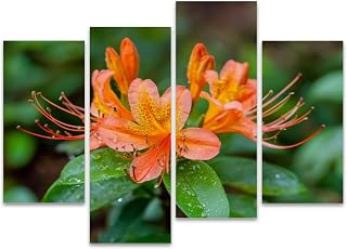 Orange Flame Azalea Bloom Tennessee Canvas Prints Wall Decor 4 Pieces Contemporary Framed Artworks for Living Room Bedroom Bathroom Office Home Decoration Gifts