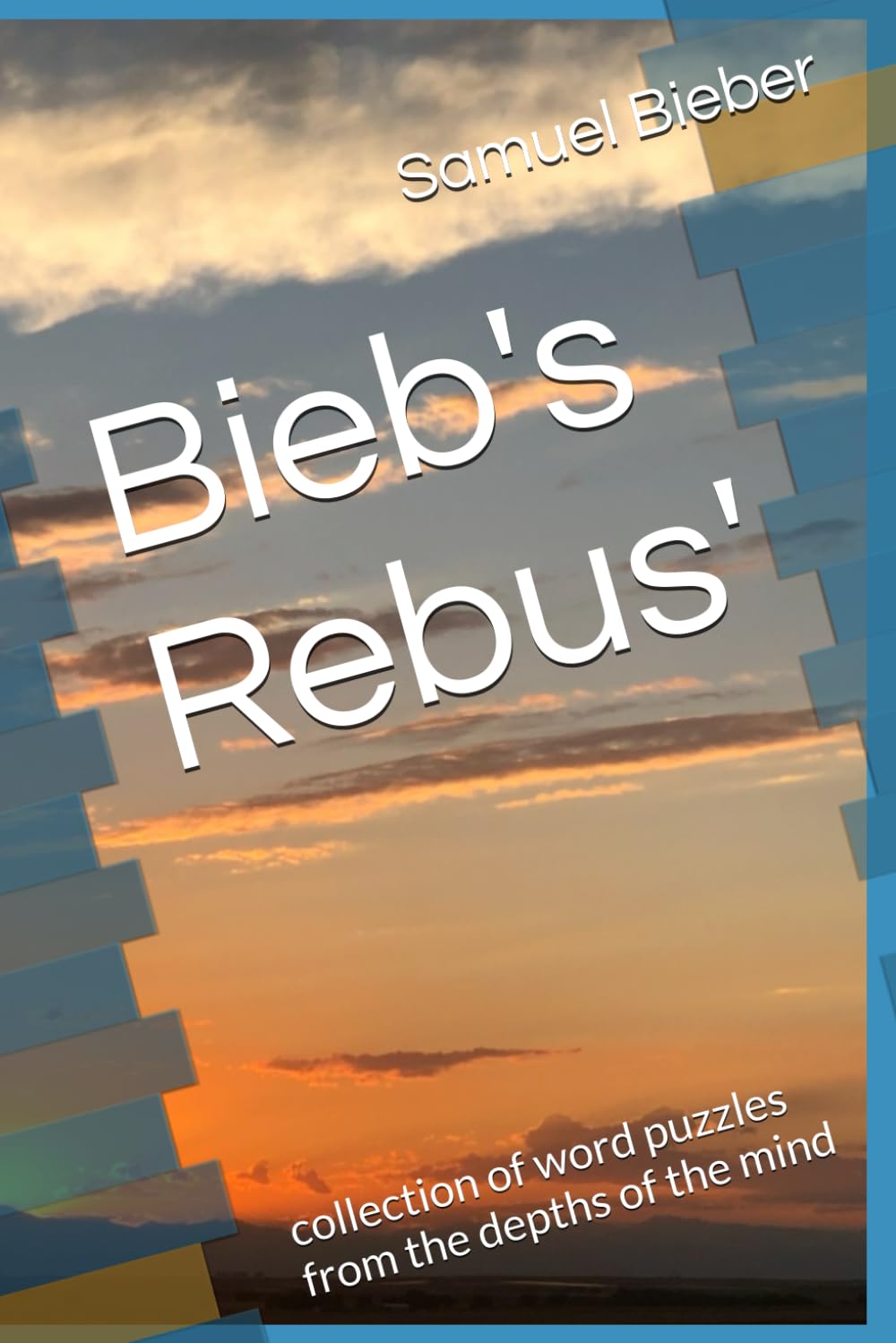 Bieb's Rebus': collection of word puzzles from the depths of the mind