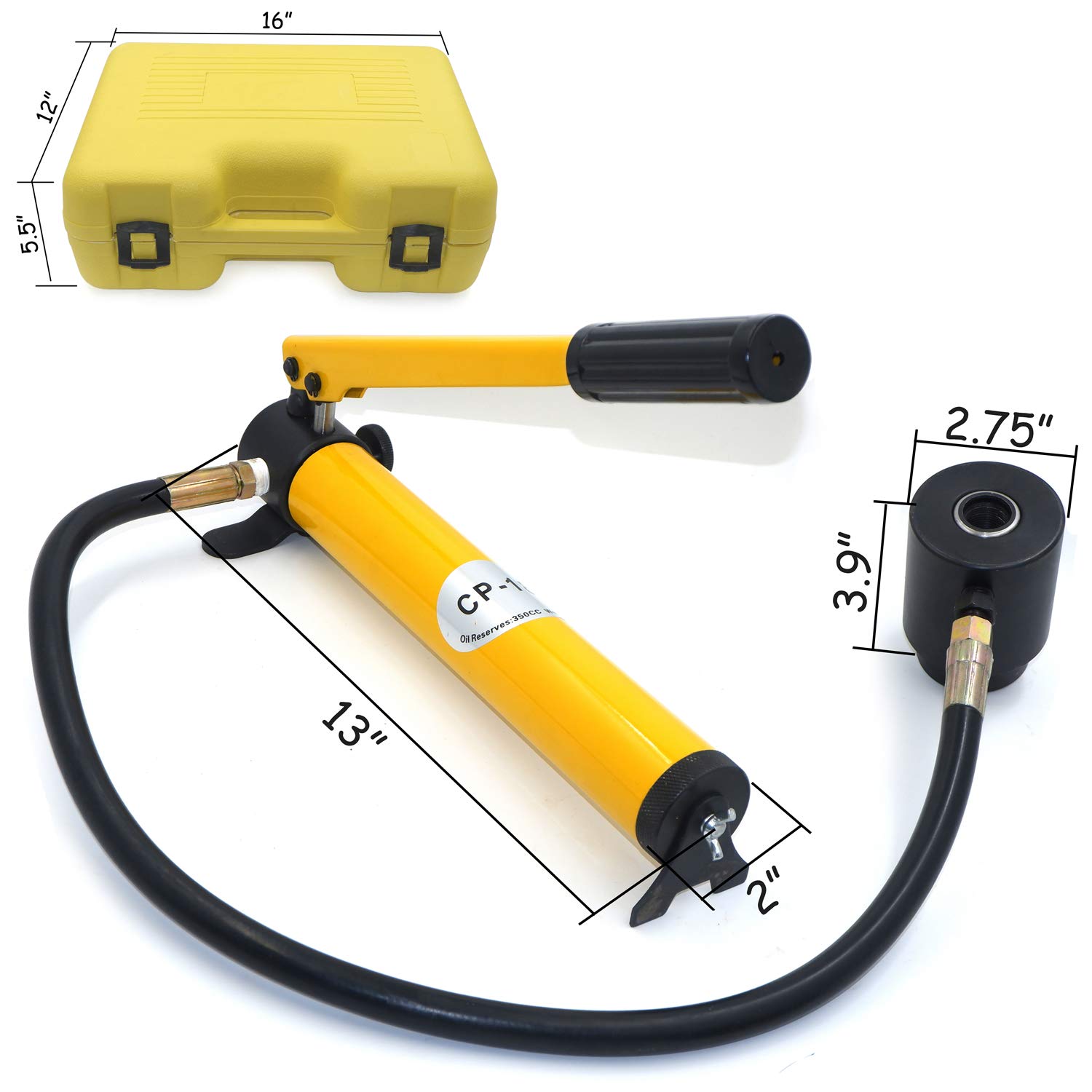 hok　バラクーダ バラクーダ‼️ 人間並みの大きさ！ こんなにデカくなるの！？と